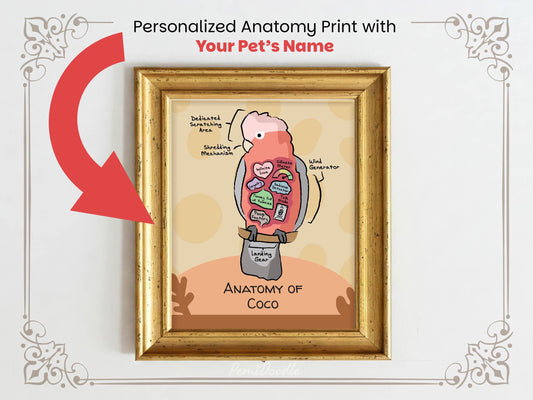 Personalized anatomy print of a galah cockatoo with labeled parts on a beige background