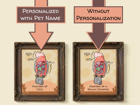 Two framed anatomical diagrams of a galah cockatoo with and without pet name personalization on a beige background
