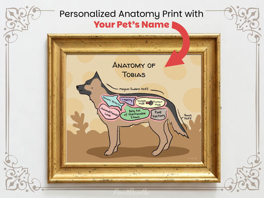 Framed humorous diagram of a boxer dog labeled 'Anatomy of Tobias' 