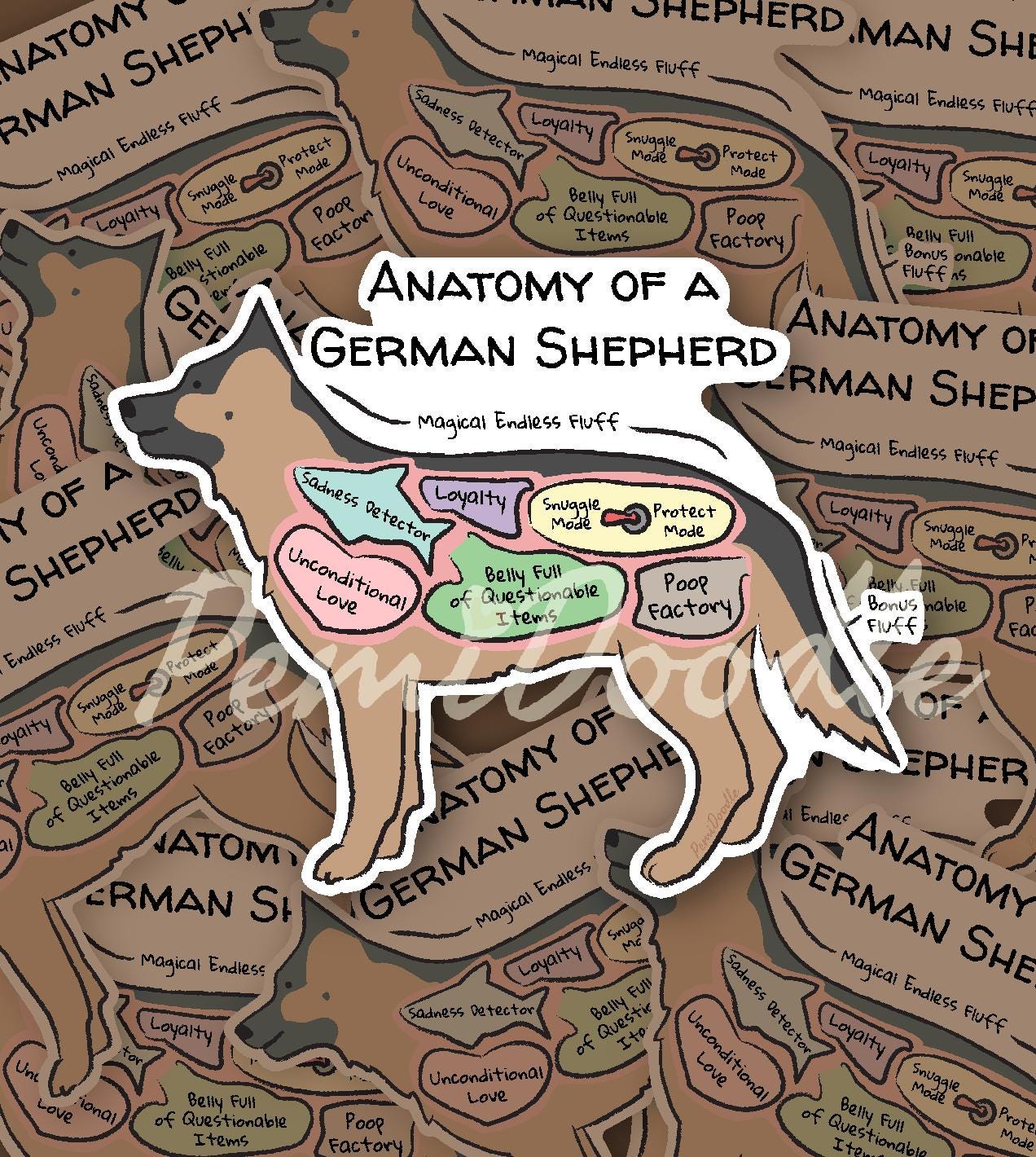 anatomy of a german shepherd sticker