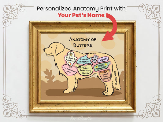 Personalized anatomy print of a golden retriever dog with labeled parts on a beige background