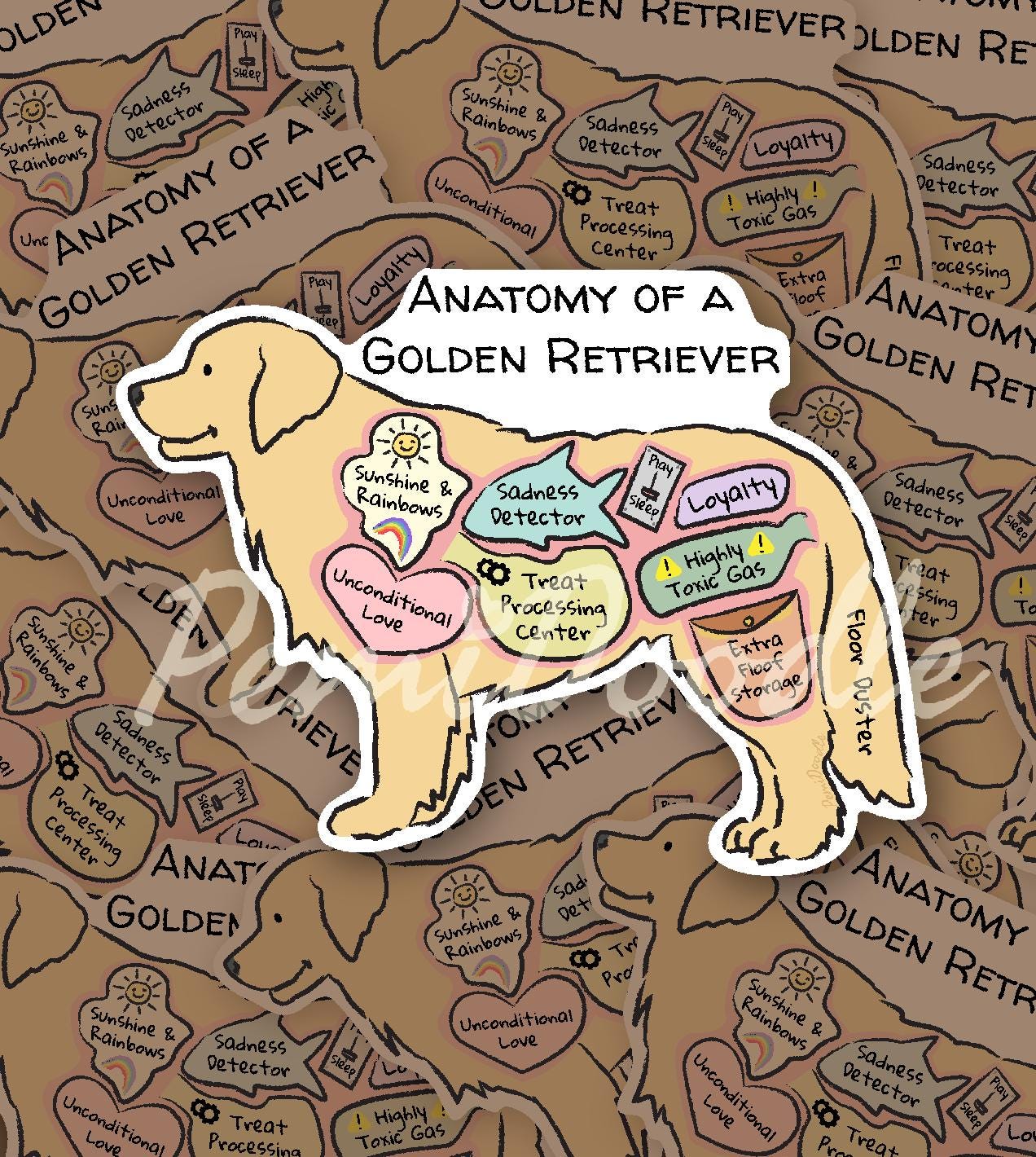 anatomy of a golden retriever sticker mockup