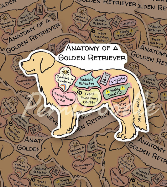 anatomy of a golden retriever sticker mockup