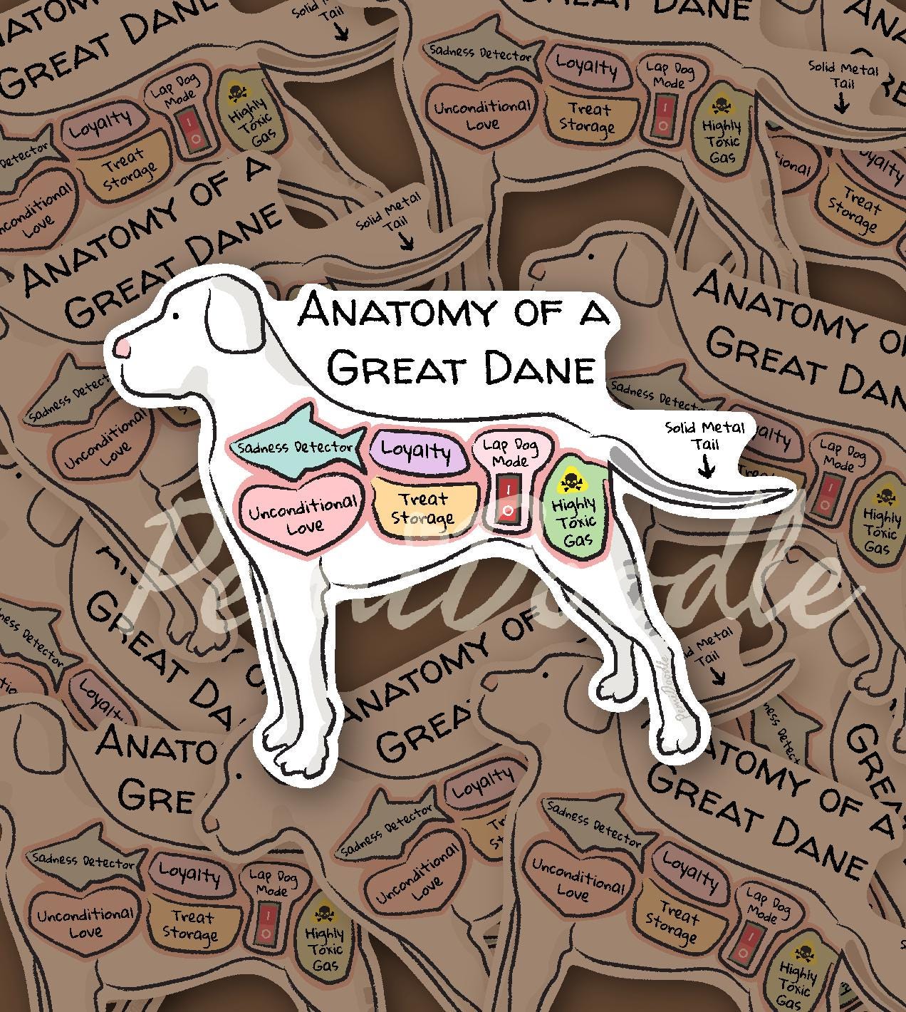 anatomy of a great dane sticker