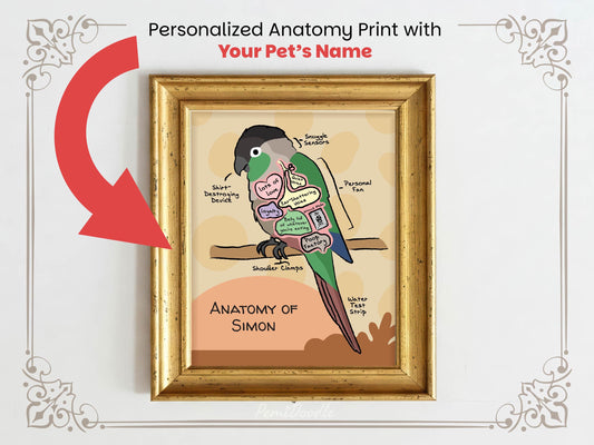 Personalized anatomy print of a green cheek conure bird with labeled parts on a beige background