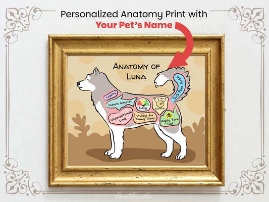 Personalized anatomy print of a husky dog with labeled parts on a beige background