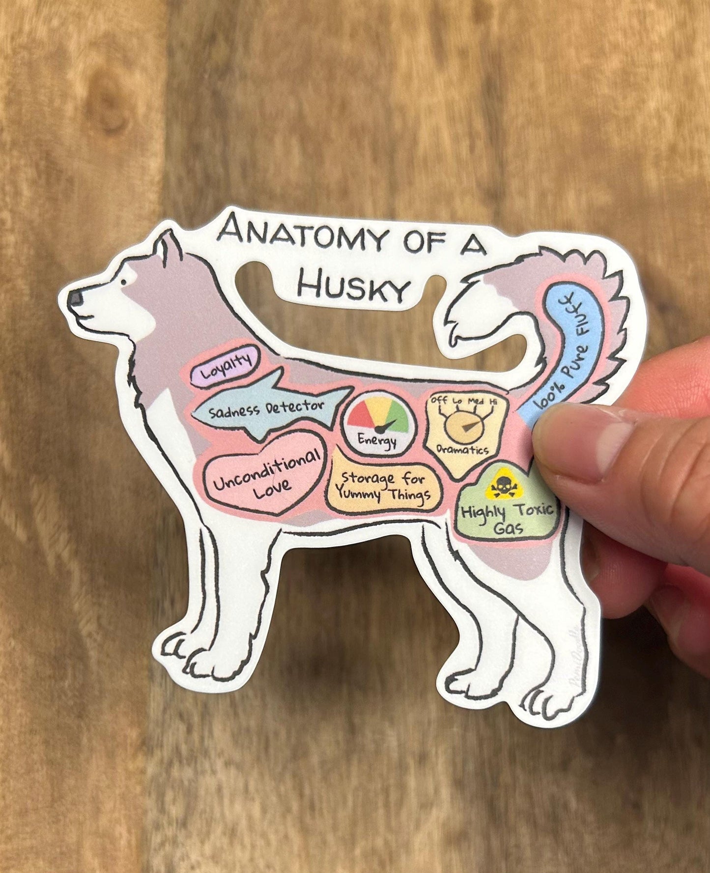 hand holding anatomy of a husky sticker