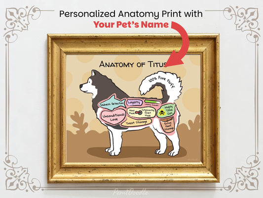 Framed artwork of a malamute  anatomy with personalized name reading 'Anatomy of Titus'