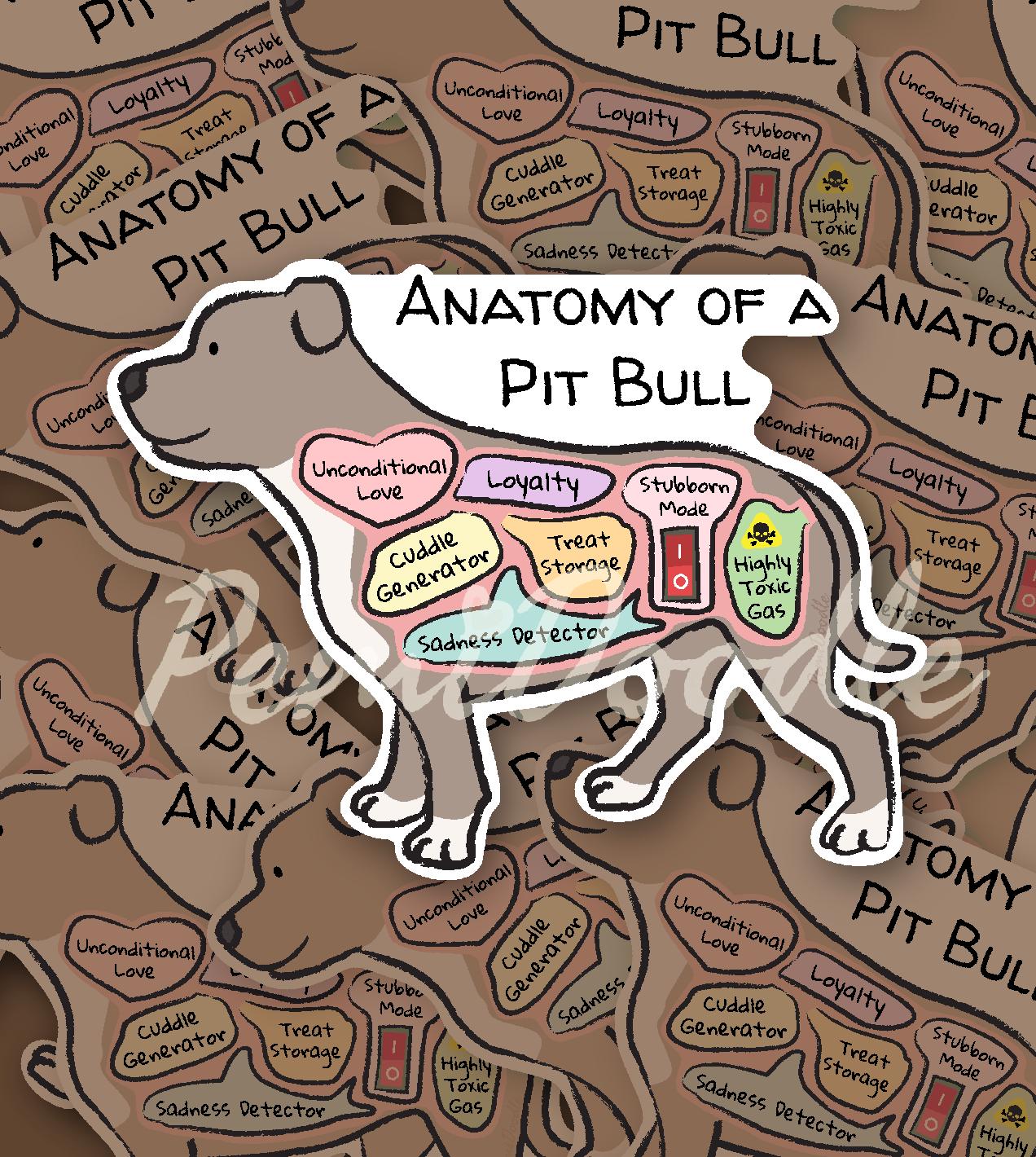 anatomy of a pit bull sticker