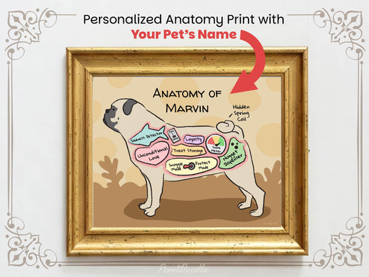 Personalized anatomy print of a pug dog with labeled parts on a beige background