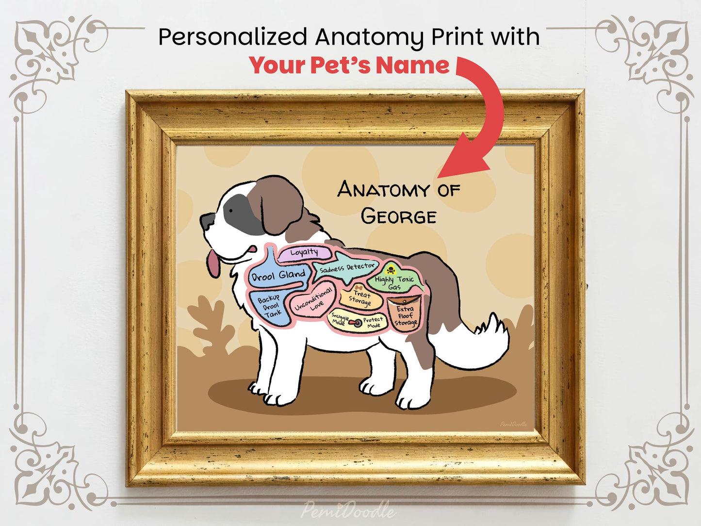 Personalized anatomy print of a saint bernard dog with labeled parts on a beige background