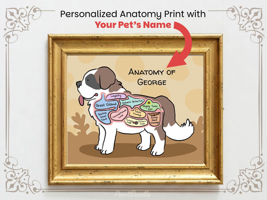 Personalized anatomy print of a saint bernard dog with labeled parts on a beige background