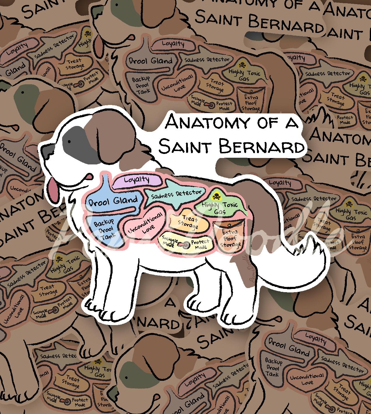 anatomy of a saint bernard sticker