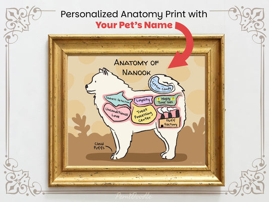Personalized anatomy print of a samoyed dog with labeled parts on a beige background