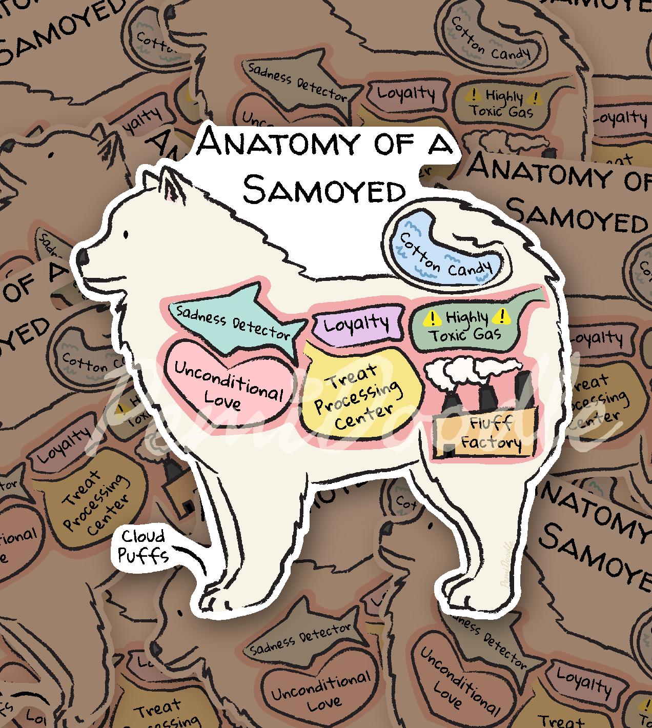 anatomy of a samoyed sticker mockup