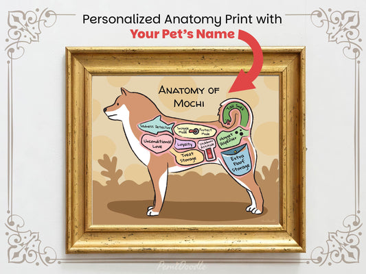 Personalized anatomy print of a shiba inu dog with labeled parts on a beige background