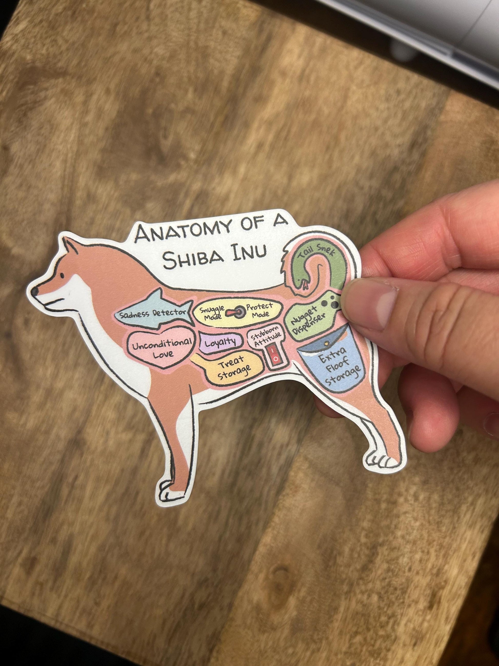 hand holding anatomy of a shiba inu sticker