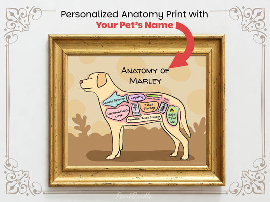 Personalized anatomy print of a yellow lab dog with labeled parts on a beige background