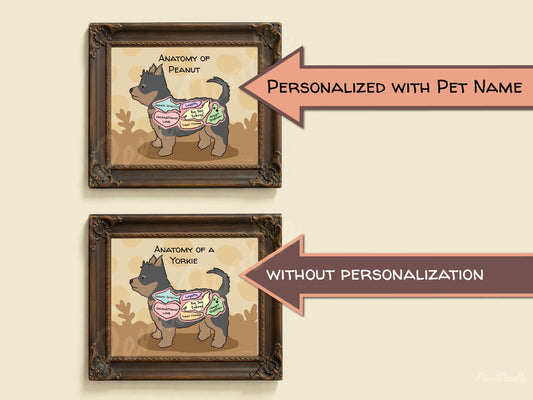 Two framed anatomical diagrams of a yorkie dog with and without pet name personalization on a beige background