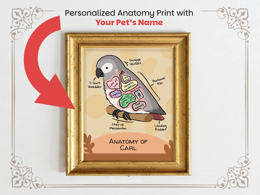 Personalized anatomy print of a african grey parrot with labeled parts on a beige background
