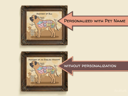 Two framed anatomical diagrams of an english mastiff dog with and without pet name personalization on a beige background