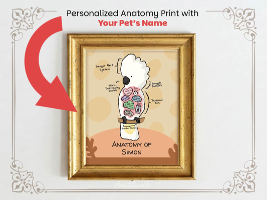 Personalized anatomy print of an umbrella cockatoo parrot with labeled parts on a beige background