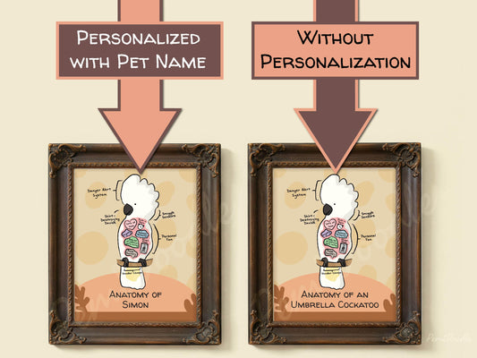 Two framed anatomical diagrams of an umbrella cockatoo with and without pet name personalization on a beige background