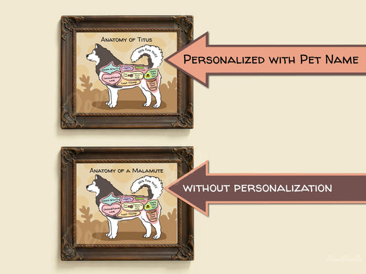 Two framed illustrations of a malamute's anatomy with text indicating personalization options.
