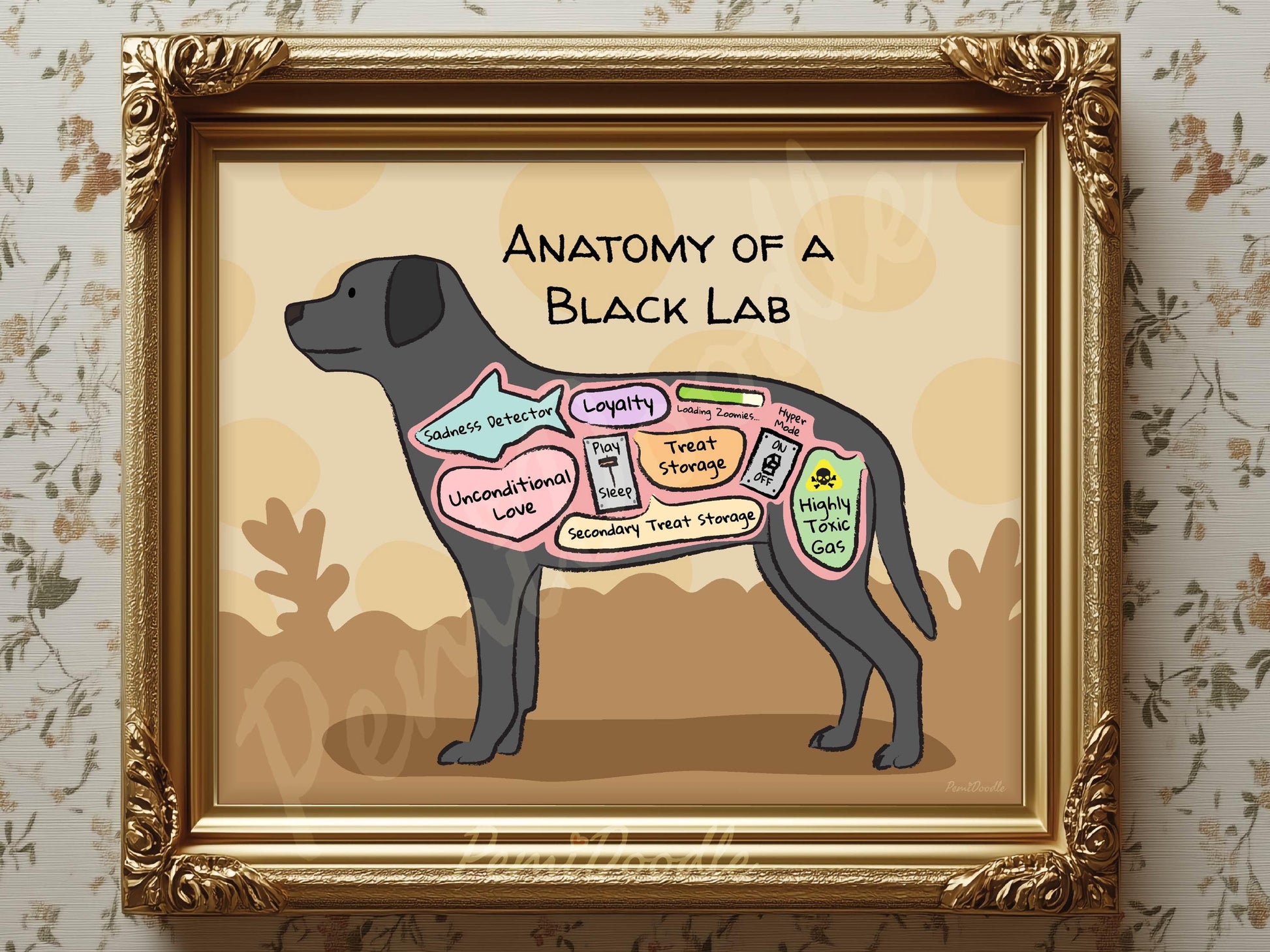 Framed illustration of 'Anatomy of a Black Lab' with labels 