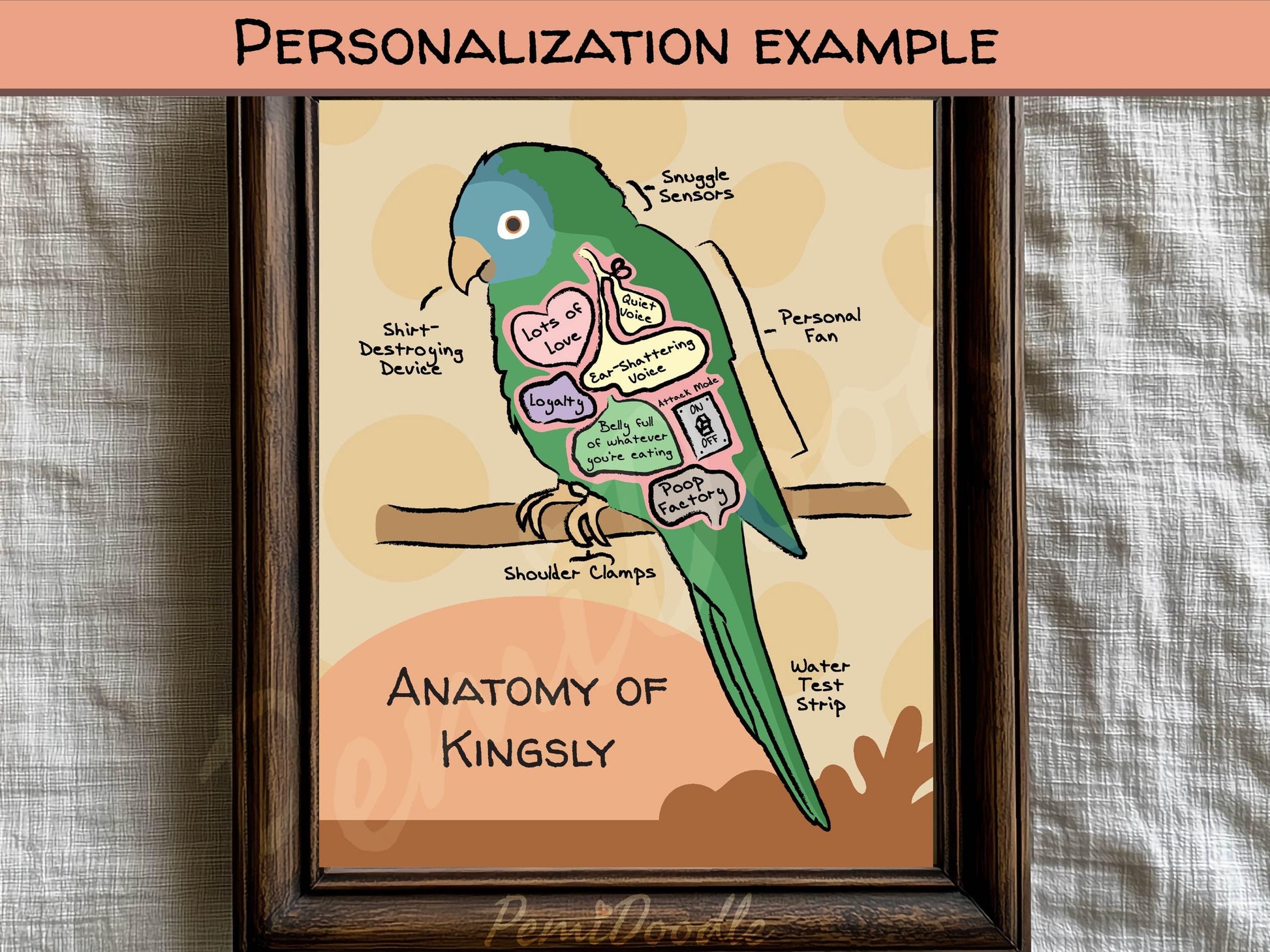 Framed illustration of a blue-crowned conure labeled 'Anatomy of Kingsly' with labeled internal parts