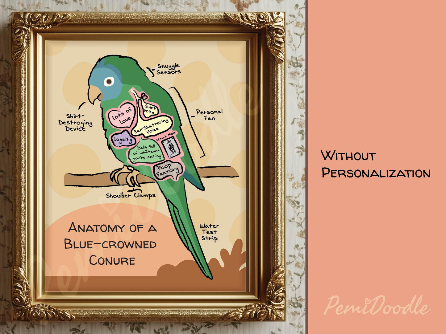 Framed illustration of 'Anatomy of a Kingsly' with labels 
