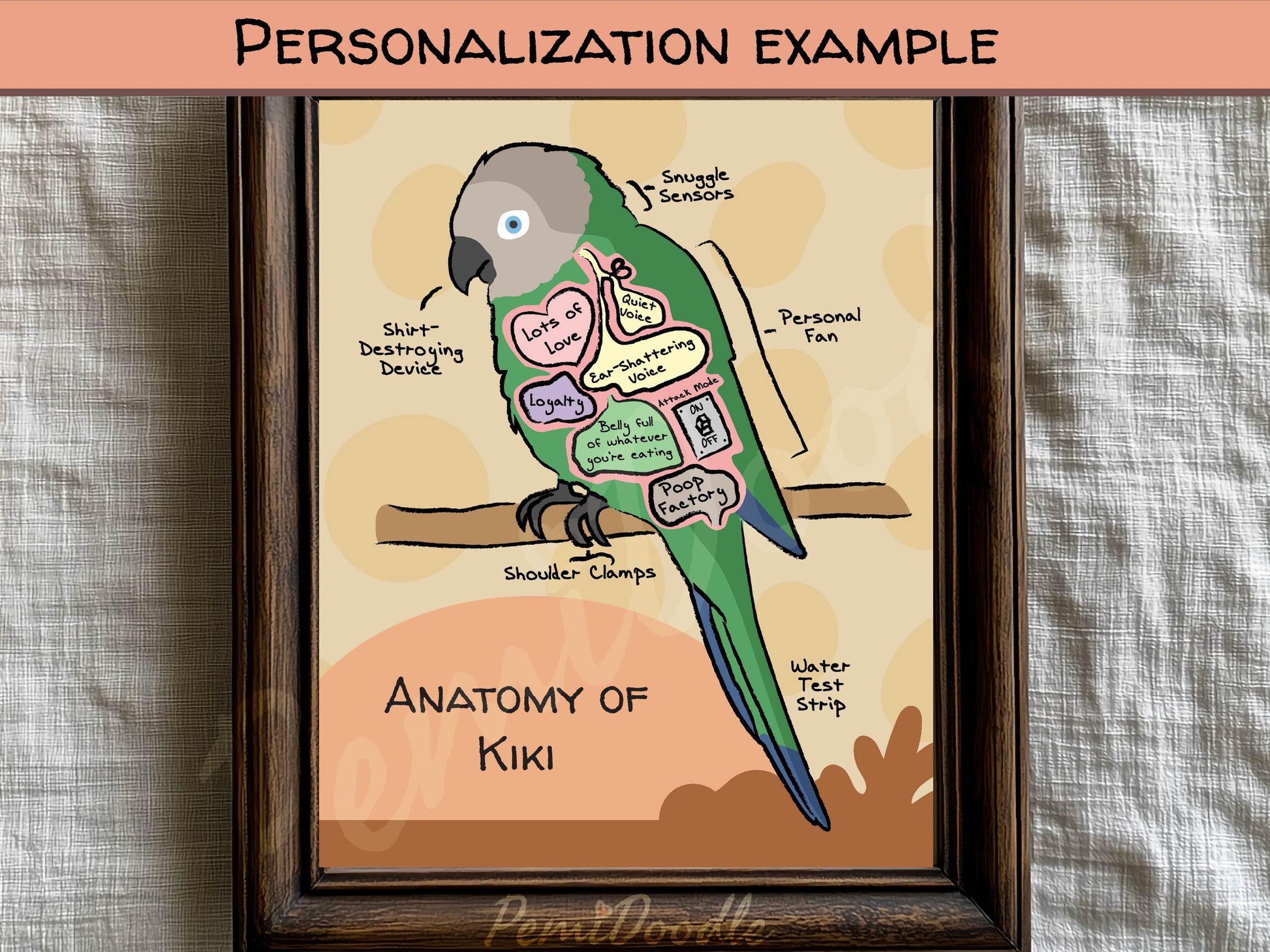 Framed illustration of a dusky conure labeled 'Anatomy of Kiki' with labeled internal parts