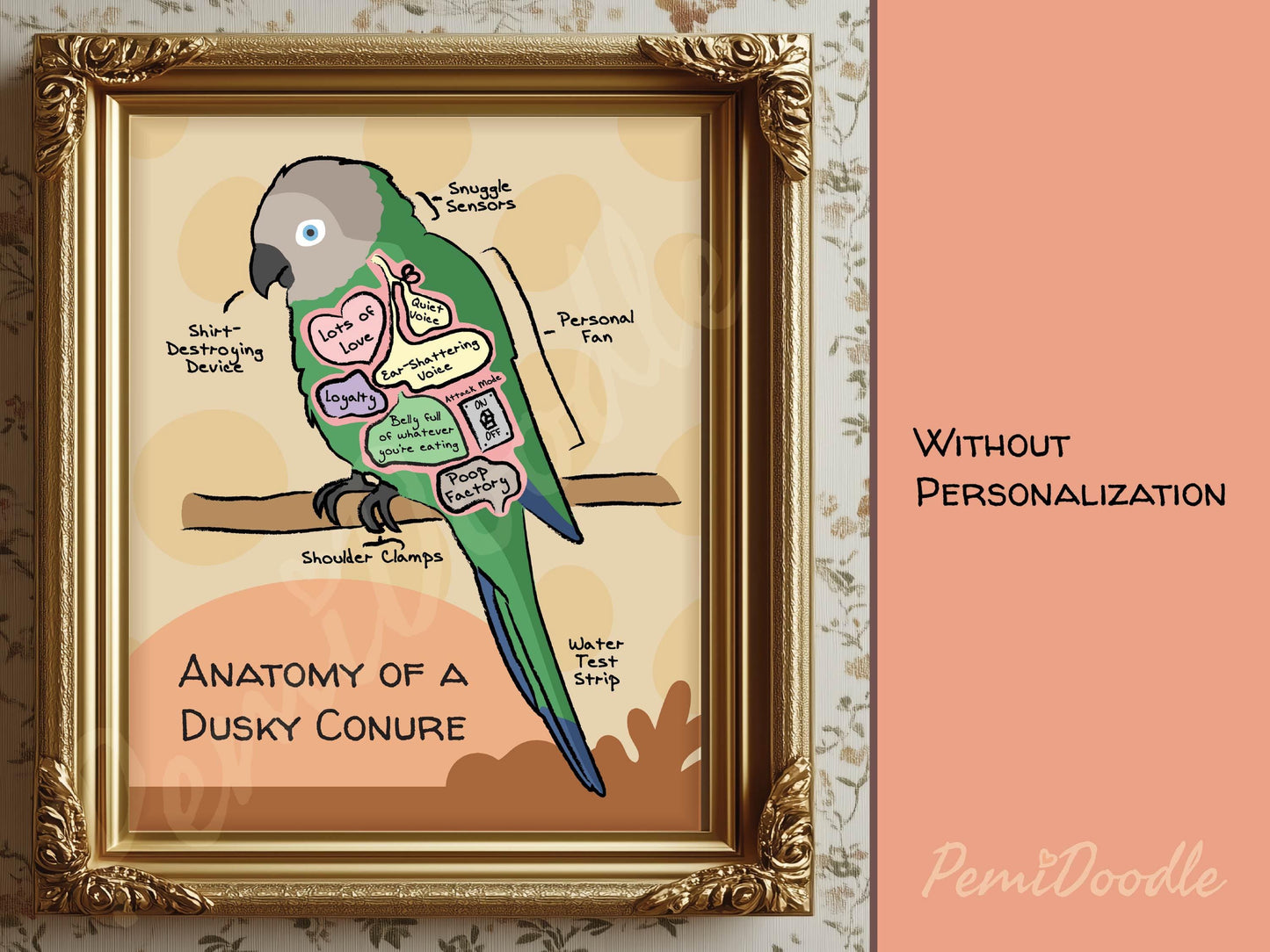 Framed illustration of 'Anatomy of a Dusky Conure' with labels 