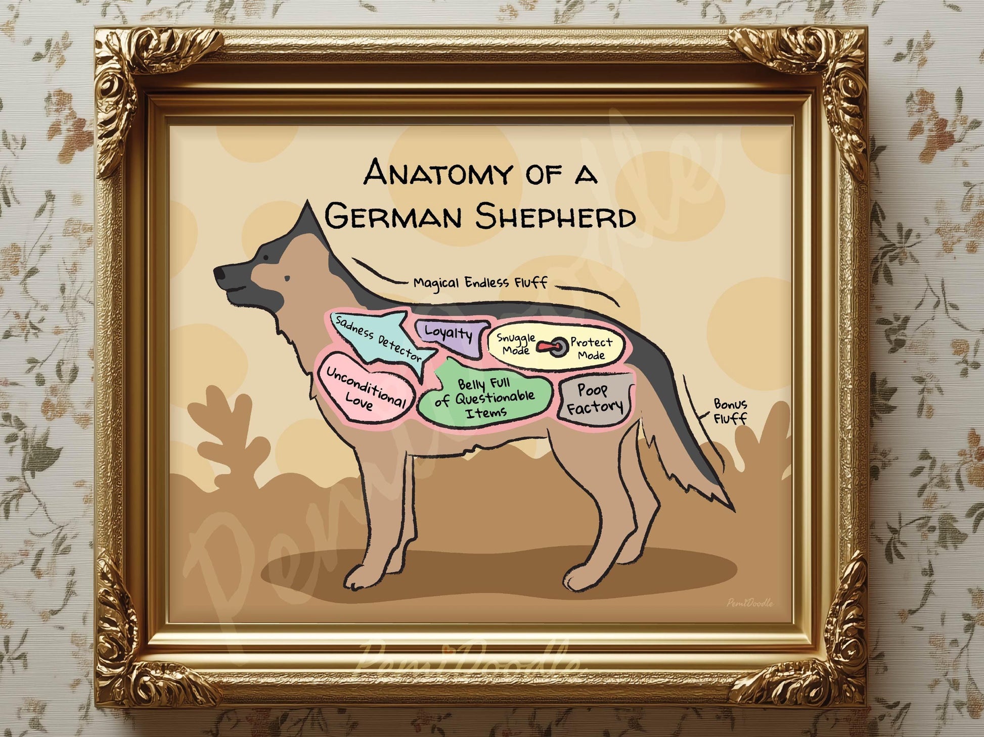 Framed illustration of 'Anatomy of a German Shepherd' with labels 