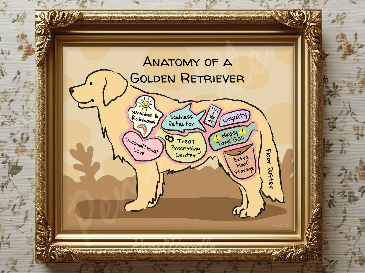 Framed illustration of 'Anatomy of a Golden Retriever' with labels 