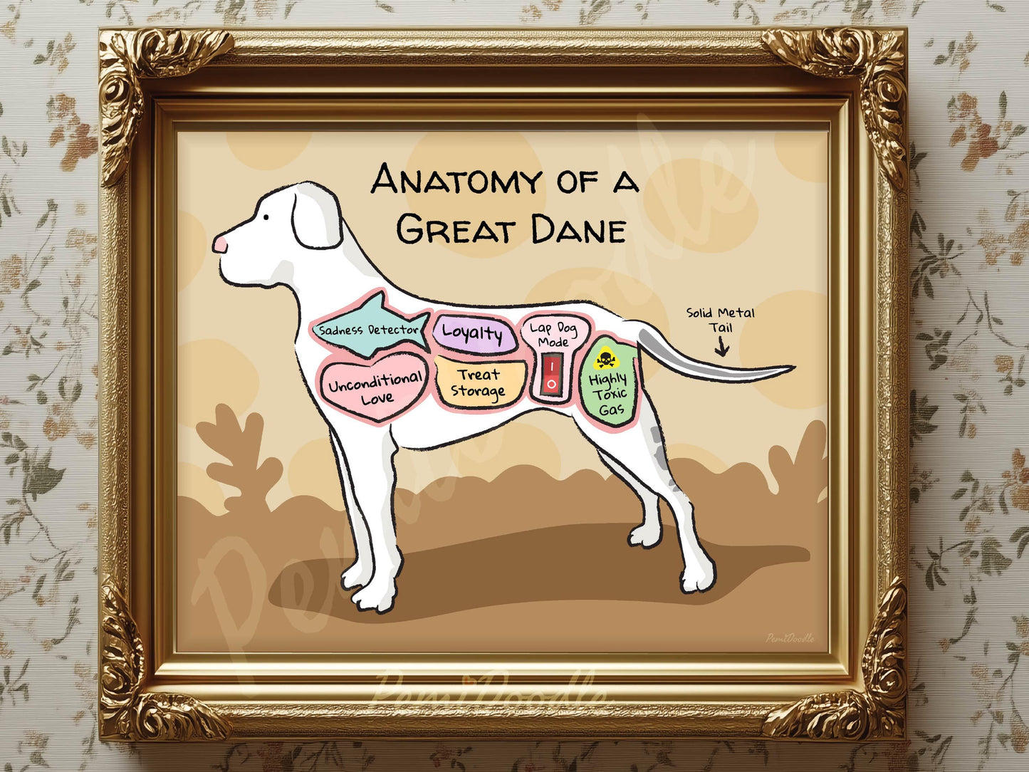 Framed illustration of 'Anatomy of a Great Dane' with labels 