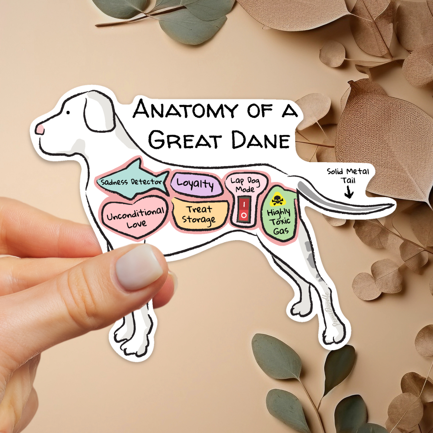 Hand holding anatomy of a great dane sticker