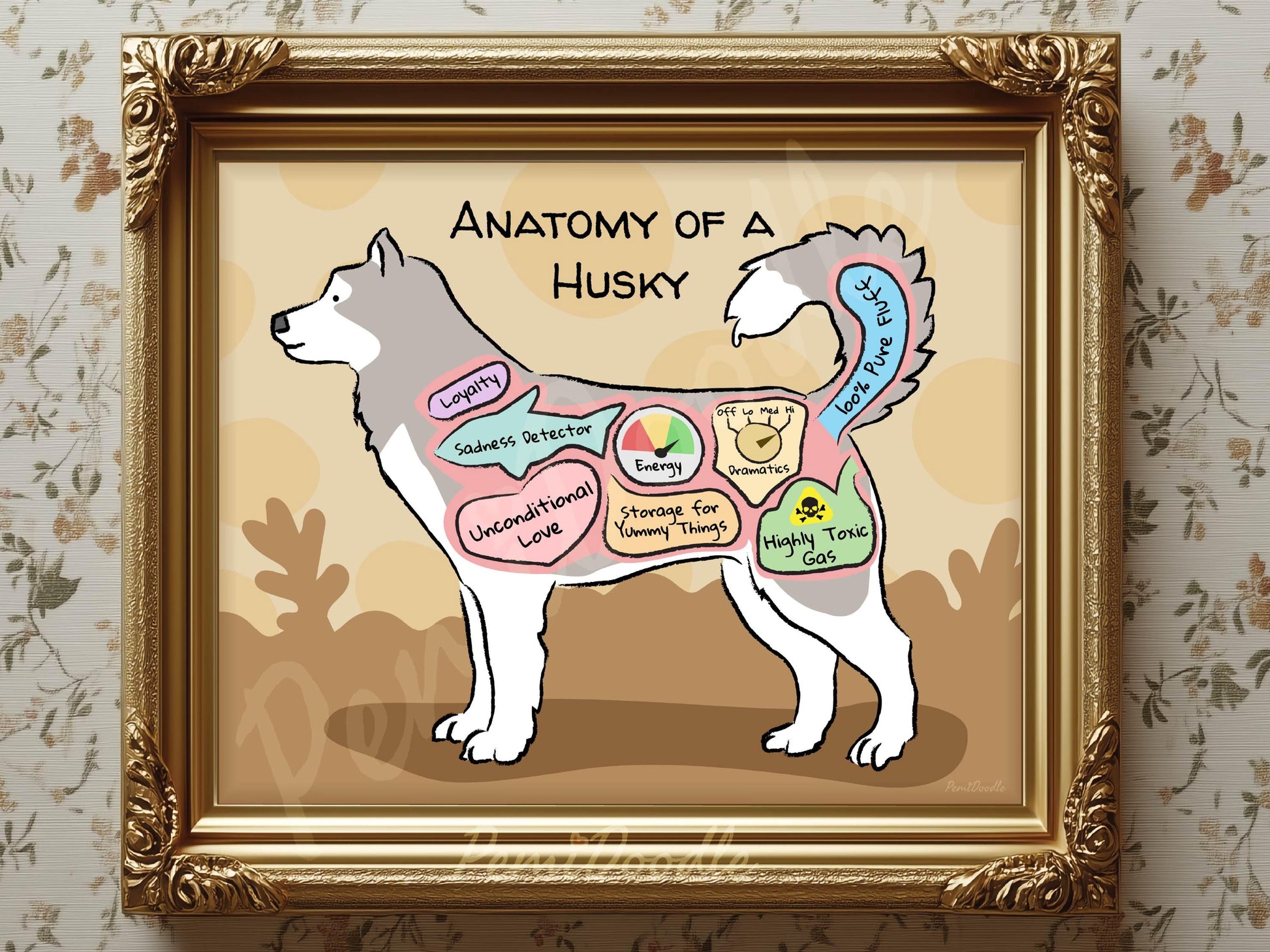 Framed illustration of 'Anatomy of a Husky' with labels 