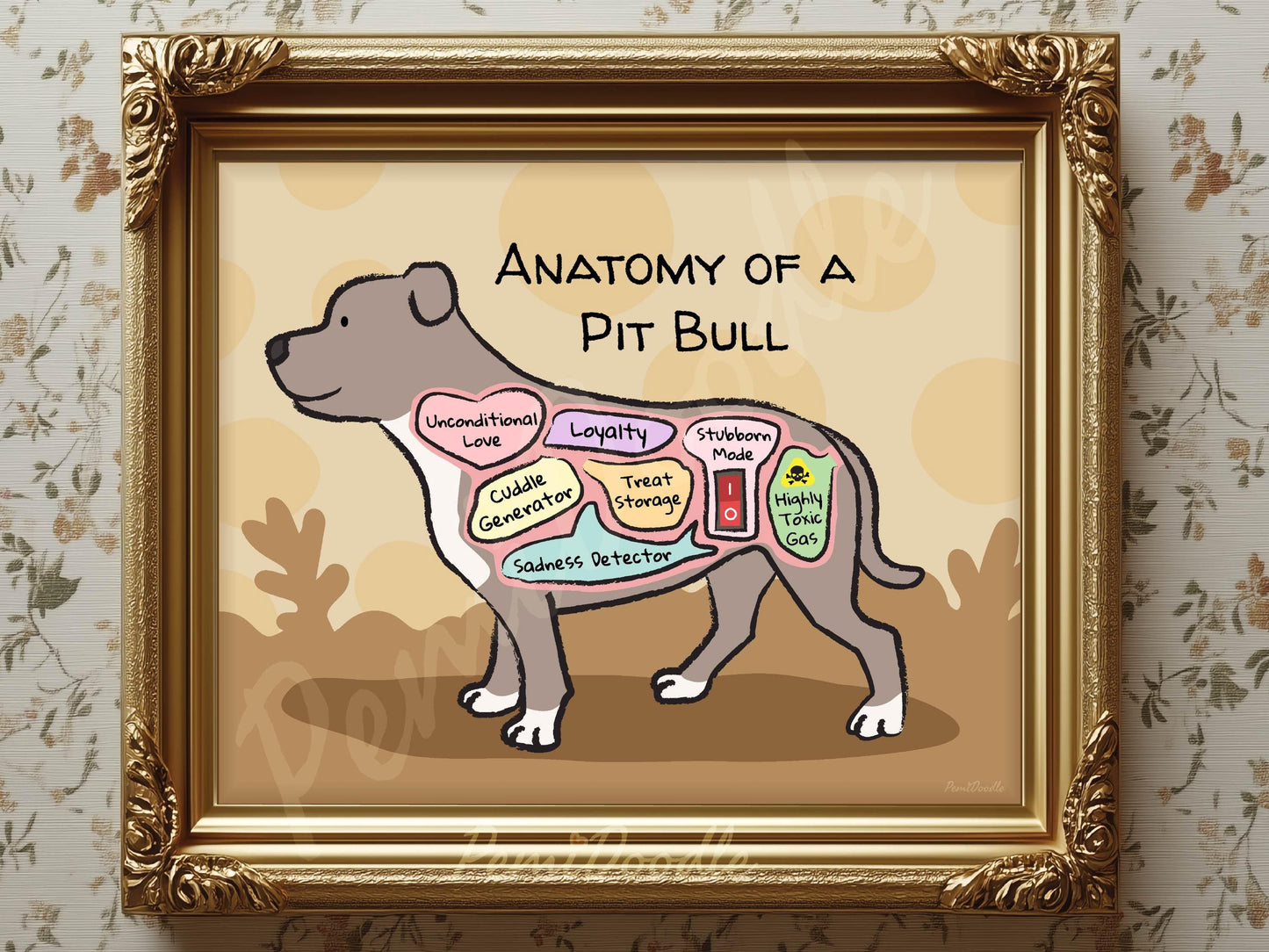 Framed illustration of 'Anatomy of a Pit Bull' with labels 