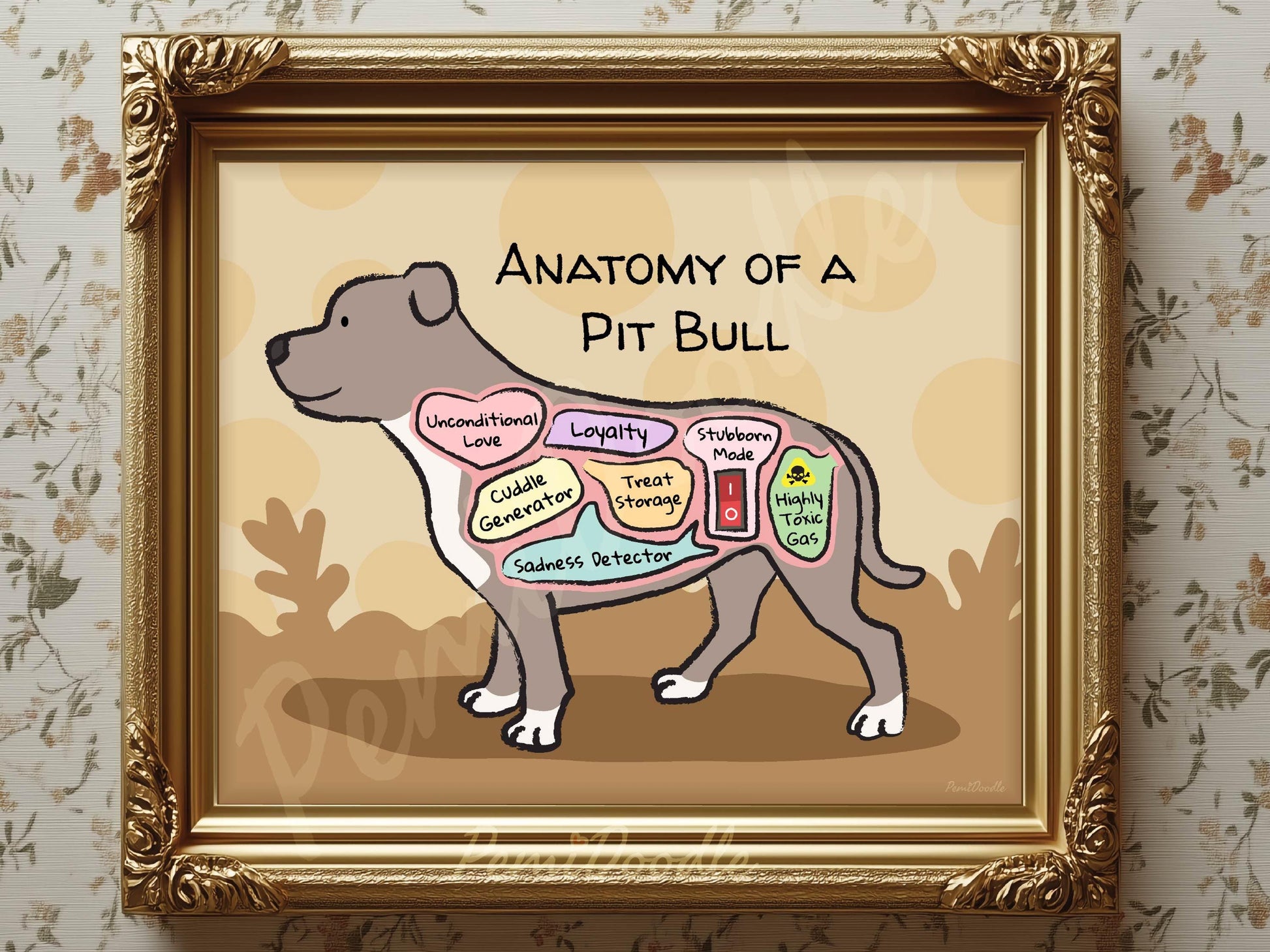 Framed illustration of 'Anatomy of a Pit Bull' with labels 