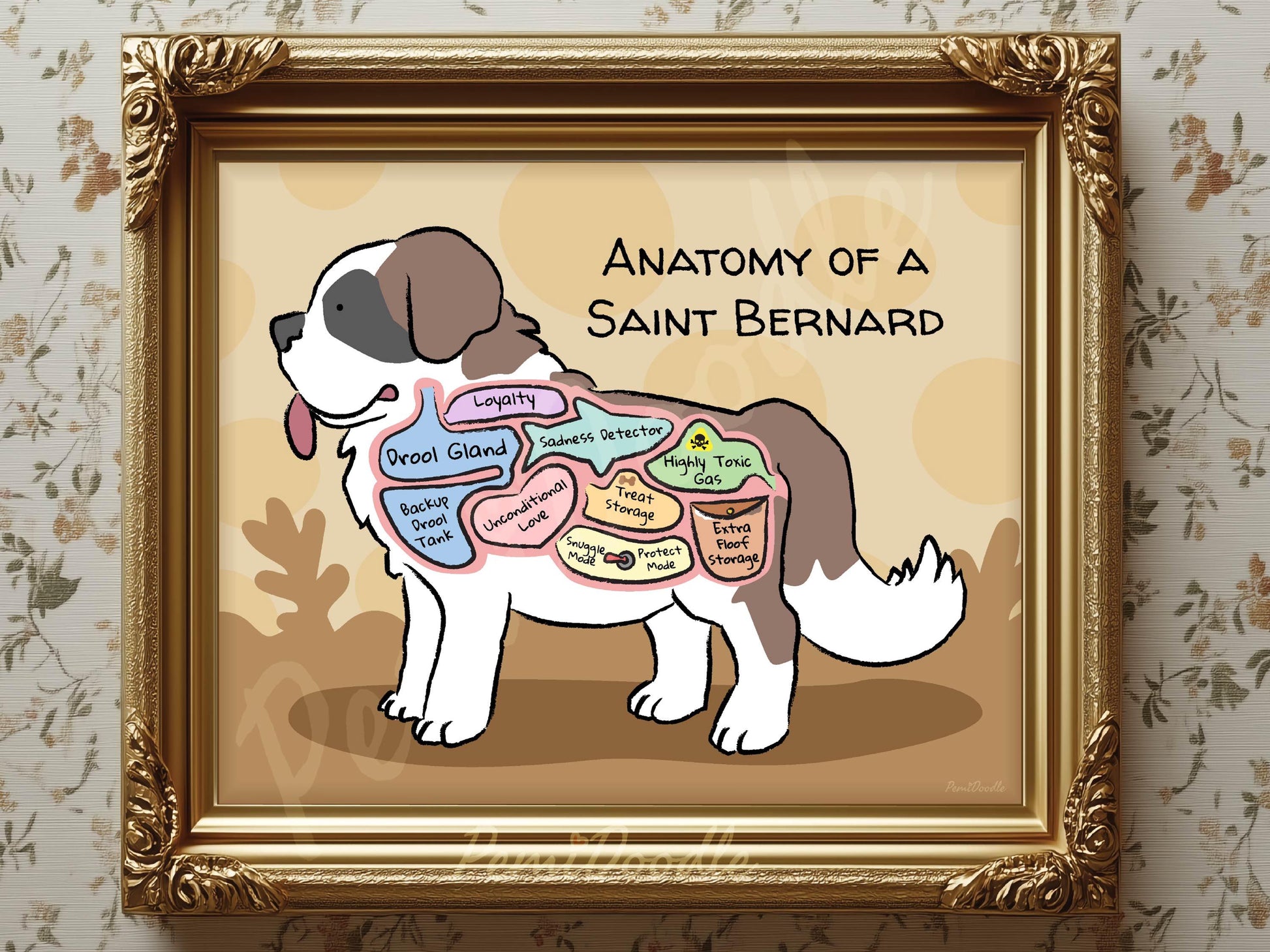 Framed illustration of 'Anatomy of a Saint Bernard' with labels 