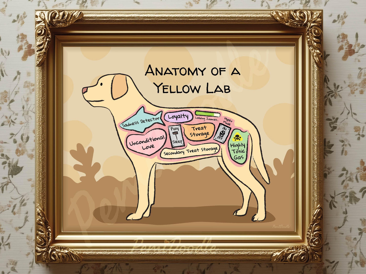 Framed illustration of 'Anatomy of a Yellow Lab' with labels 