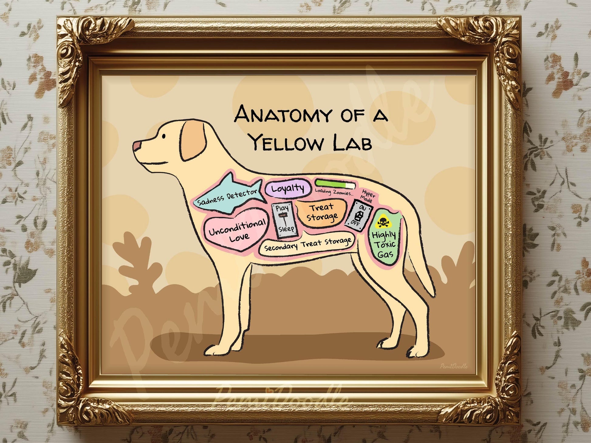 Framed illustration of 'Anatomy of a Yellow Lab' with labels 