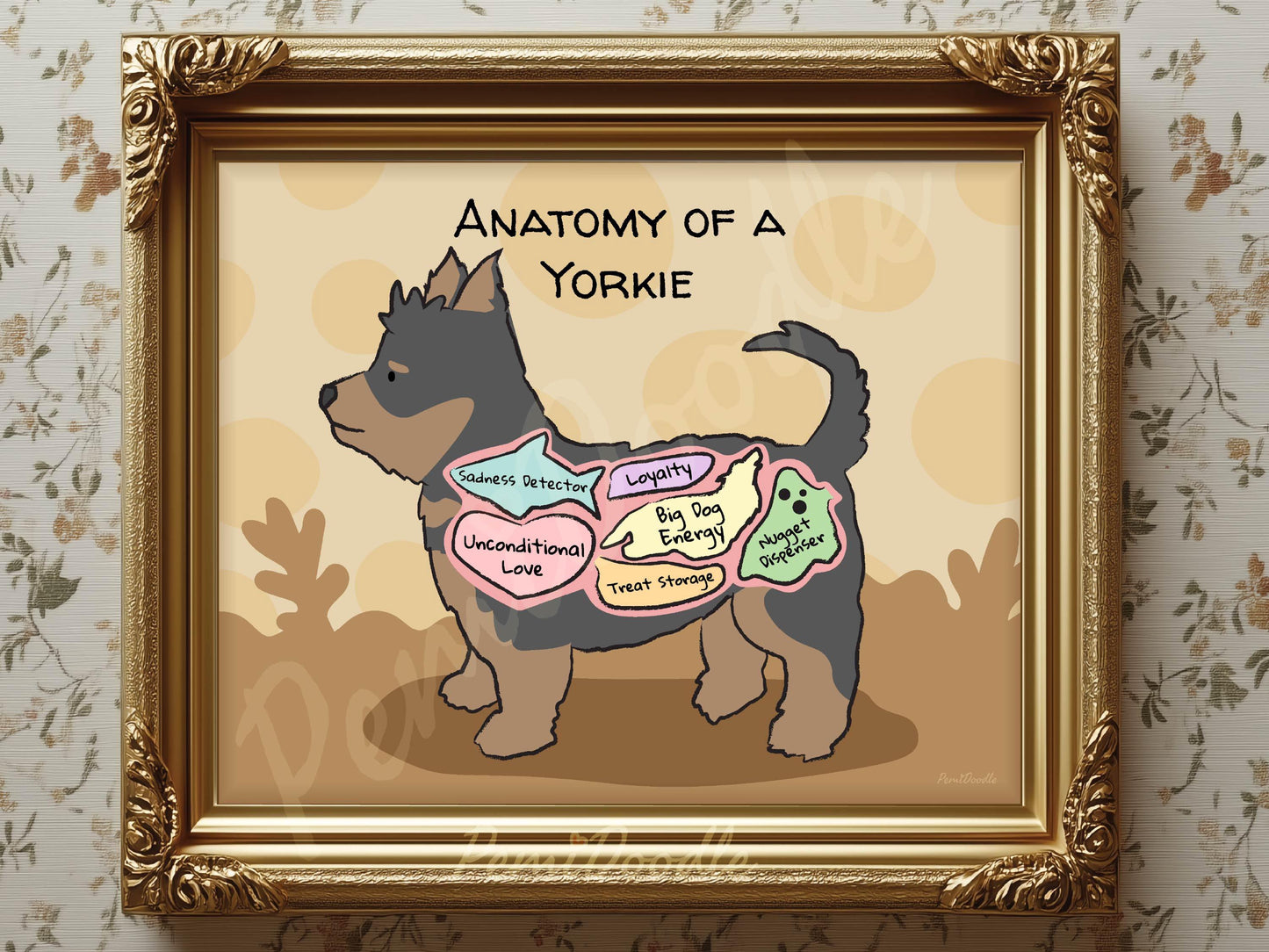 Framed illustration of 'Anatomy of a Yorkie' with labels 