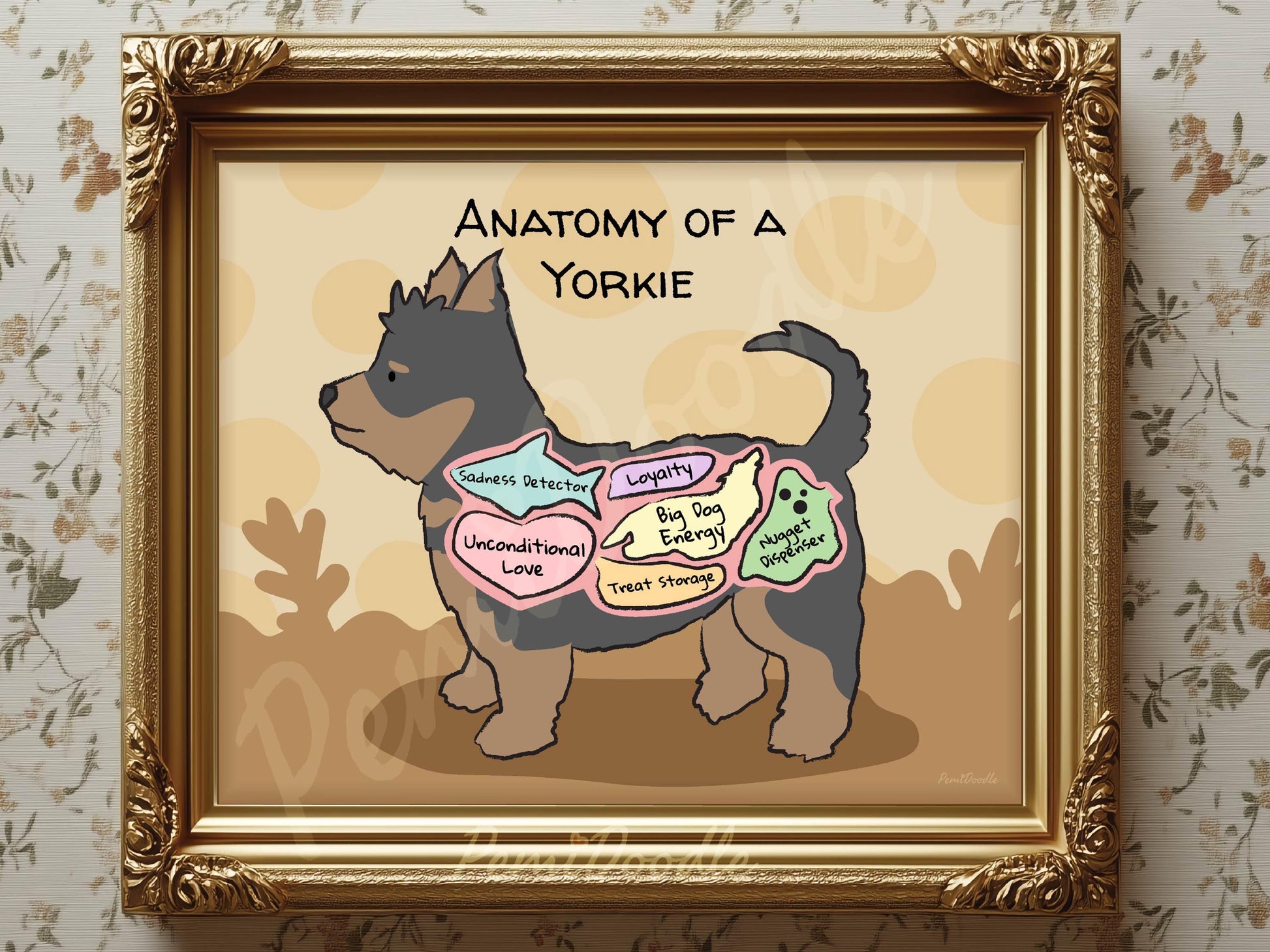 Framed illustration of 'Anatomy of a Yorkie' with labels 