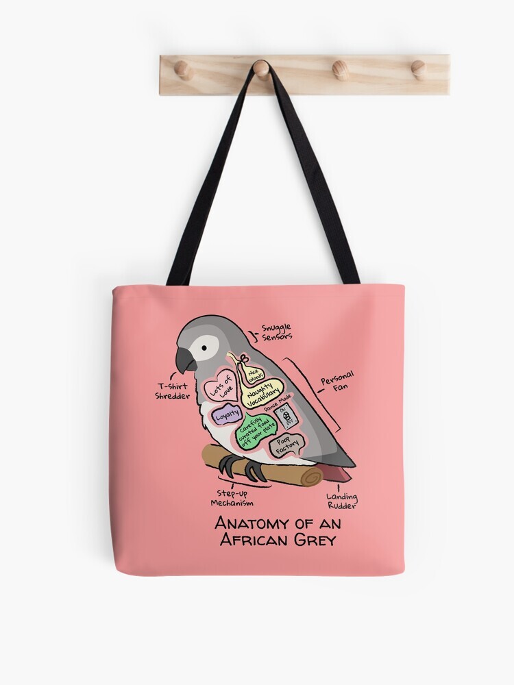 A pink-colored tote bag hanging off a wooden hook. On the tote bag features a cartoon illustration titled “Anatomy of an African Grey” showing a cute African Grey parrot with funny labeled anatomy sections.