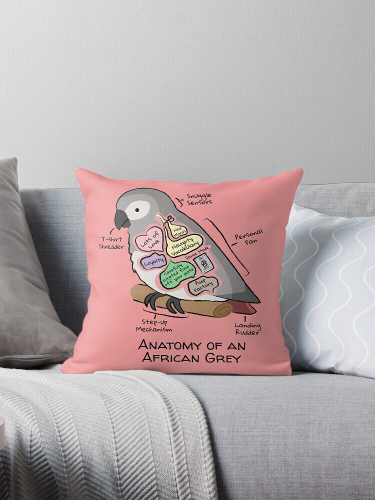 Decorative throw pillow on a couch featuring a cartoon illustration titled “Anatomy of an African Grey” showing a cute African Grey parrot with funny labeled anatomy sections.