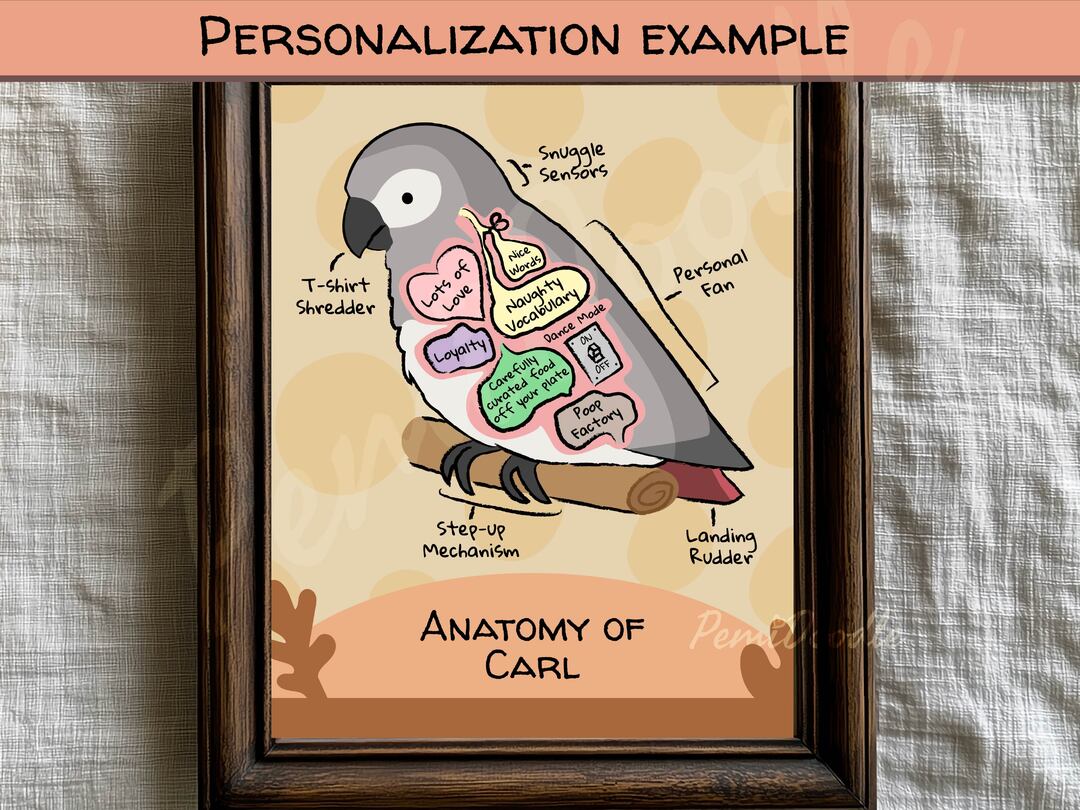 Anatomy of an African Grey custom art print on Etsy