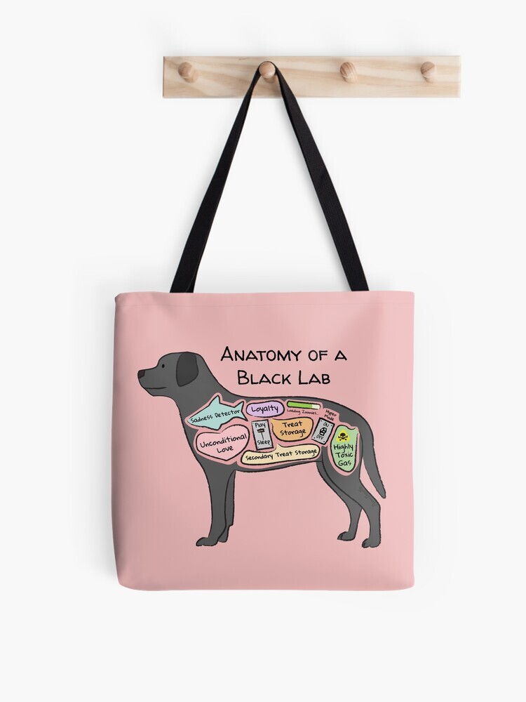 A pink-colored tote bag hanging off a wooden hook. On the tote bag features a cartoon illustration titled “Anatomy of a Black Lab” showing a cute Black Lab dog with funny labeled anatomy sections.