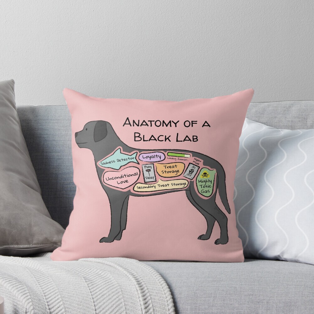 Decorative throw pillow on a couch featuring a cartoon illustration titled “Anatomy of a Black Lab” showing a cute Black Lab dog with funny labeled anatomy sections.